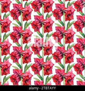 Motivo ad acquerello senza cuciture con fiori rossi su sfondo bianco. Foto Stock