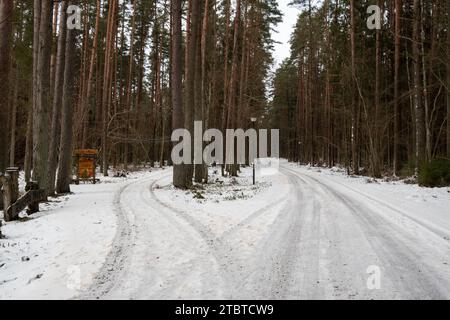 Ripercorrendo le orme del fascino invernale nei boschi di Tervete Foto Stock