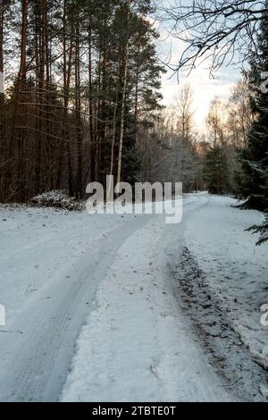 Le impronte di pneumatici intagliano storie su questa strada ricoperta di neve, sussurrando di viaggi attraverso boschi verdeggianti e sentieri baciati dal sole. Foto Stock