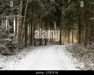 Sentieri assolati e innevati offrono un percorso pittoresco, che svela la bellezza del tranquillo abbraccio invernale. Foto Stock