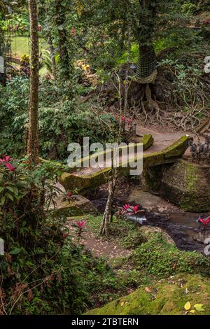 Goa Gajah - Grotta degli elefanti, questo complesso di templi simile a un parco offre un grande giardino con alberi antichi e piante tropicali, sentieri incantati che conducono attraverso il fiume Foto Stock