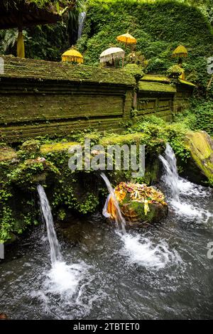 Un piccolo tempio usato per le sacre abluzioni, incantato e coperto di muschio, con offerte, bellissime statue e molto altro, sorgenti sacre e acqua Santa a Bali, Indonesia Foto Stock
