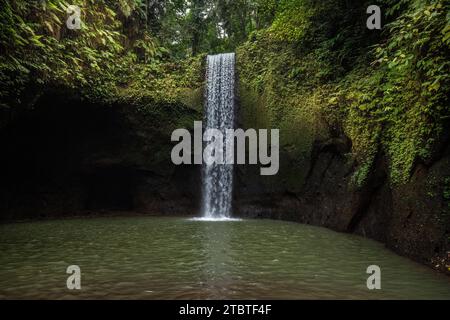 Cascata di Tibumana, una piccola e ampia cascata in una gola verde, il fiume scorre in una piscina nel mezzo della foresta, destinazione escursionistica vicino a Ubud, Bali Foto Stock