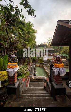 Sorgenti termali, bagni termali nella giungla tropicale, piscina solforosa rituale per nuotare, Banjar, Bali Foto Stock