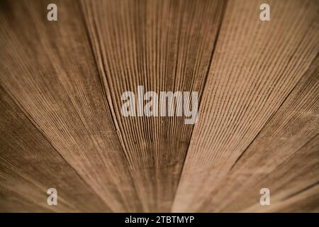 Macro dettaglio della texture grana di legno marrone naturale Foto Stock