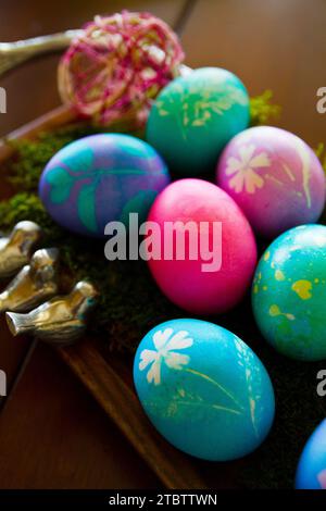 Vivaci uova di Pasqua su un letto di muschio con soffice illuminazione interna Foto Stock