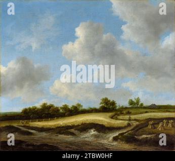 Paesaggio con Wheatfield. Jacob van Ruisdael. Tra la fine degli anni '1650 e l'inizio degli anni '1660 Foto Stock