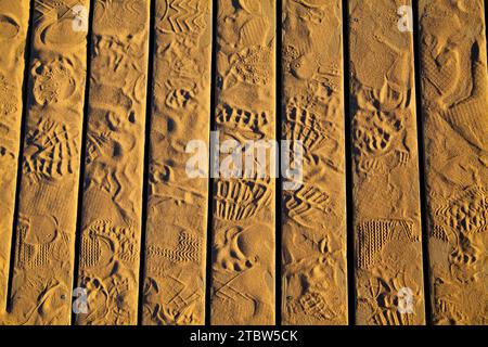 Impronte soleggiate su tavole di legno a Empire Michigan Foto Stock