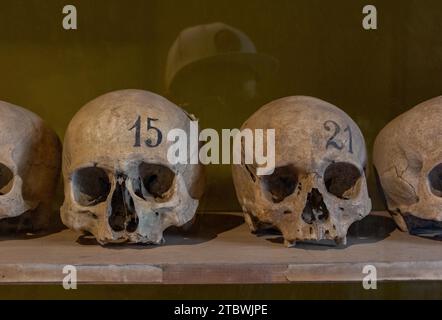 Una foto di una fila di teschi umani in mostra nel museo di Pompei Foto Stock