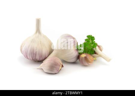 Bulbi di aglio, spicchi e prezzemolo verde si attorcigliano in primo piano isolati su sfondo bianco Foto Stock