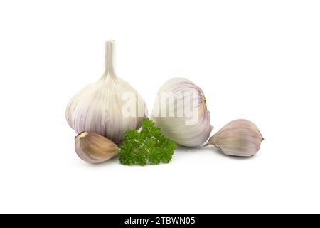 Bulbi di aglio, spicchi e prezzemolo verde si attorcigliano in primo piano isolati su sfondo bianco Foto Stock