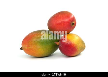 Tre frutti di mango maturi multicolore isolati su sfondo bianco Foto Stock