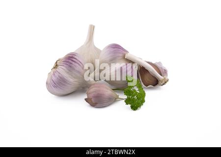 Bulbi di aglio, spicchi e prezzemolo verde si attorcigliano in primo piano isolati su sfondo bianco Foto Stock