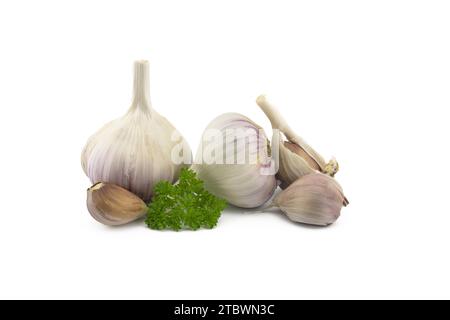 Bulbi di aglio, spicchi e prezzemolo verde si attorcigliano in primo piano isolati su sfondo bianco Foto Stock