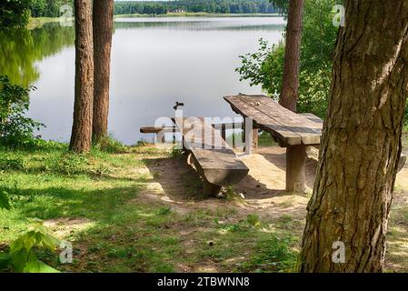 Tavoli rustici e panchine in legno sotto alberi ombreggiati sulle rive di un tranquillo fiume o lago con uccelli acquatici che nuotano e riflettono il Foto Stock