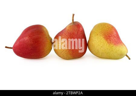 Tre pere fresche mature con gambo isolato su fondo bianco Foto Stock