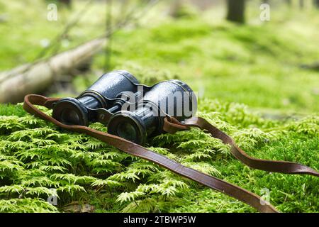 Binocoli in metallo d'epoca con cinturino in pelle su un lussureggiante muschio verde in una foresta. Messa a fuoco selettiva Foto Stock