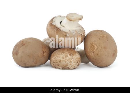 Fresco Baby Bella o Cremini funghi interi isolati su sfondo bianco Foto Stock