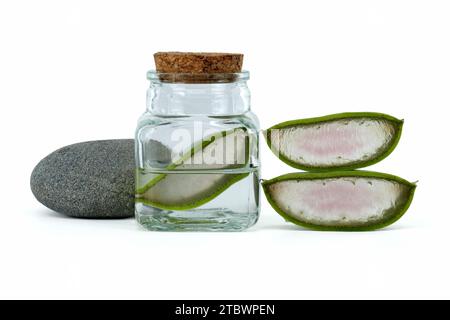 Aloe vera fette di foglia in vaso di vetro isolato su sfondo bianco, ingredienti cosmetici organici, medicina alternativa Foto Stock