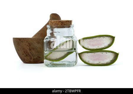 Aloe vera fette di foglia in vaso di vetro isolato su sfondo bianco, ingredienti cosmetici organici, medicina alternativa Foto Stock