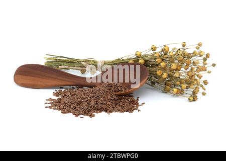 Semi di lino in cucchiaio di legno vicino a mazzo di piante di lino isolate su fondo bianco. Linum usitatissimum (lino comune) Foto Stock