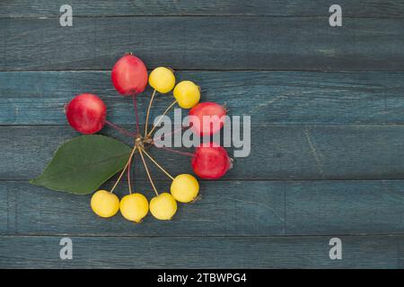 Mela gialla di granchio europeo (Malus sylvestris) o mela selvatica e granchio siberiano rosso Malus baccata su sfondo vintage di legno blu, vista dall'alto Foto Stock