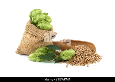 I coni freschi di luppolo verde che fuoriescono da un sacchetto dell'assia vicino ai semi di grano e la paletta di legno isolata su uno sfondo bianco, componenti della birra Foto Stock