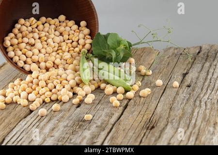 Piselli interi gialli secchi che si riversano da una ciotola rustica e da una pianta fresca con cialde su una tavola rustica di legno Foto Stock