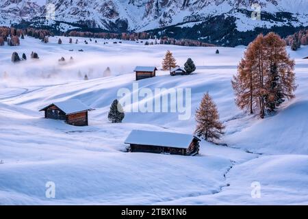 Campagna agricola collinare con capanne e alberi in legno presso l'Alpe di Siusi, coperta di neve fresca in autunno all'alba. Foto Stock
