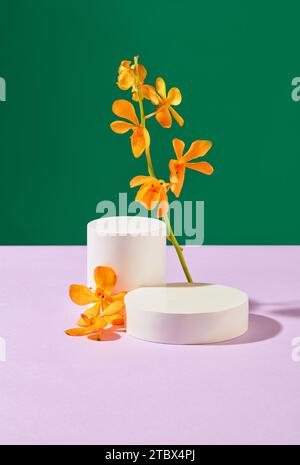 Un ramo di fiori freschi d'arancio è posto accanto a due piattaforme bianche su uno sfondo diviso in due colori: Viola pastello e verde scuro. vi anteriore Foto Stock