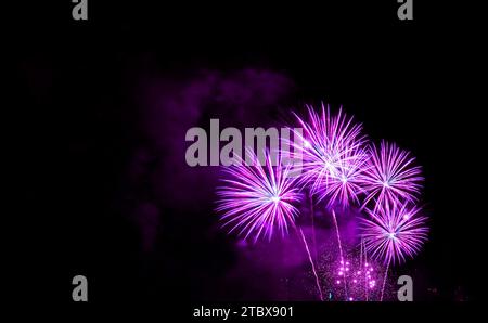 Spettacolari fuochi d'artificio di colore viola che esplodono nel cielo notturno Foto Stock