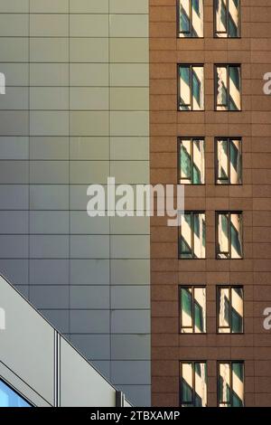 Alto edificio nel quartiere bancario con riflessi nelle facciate di vetro di Neue Mainzer Straße. Il canyon di strada fiancheggiato da grattacieli su entrambi i lati. Foto Stock