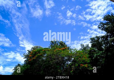 BLUE E REDISHYELLOW SKY IN TUTTO IL MONDO Foto Stock