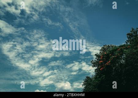 BLUE E REDISHYELLOW SKY IN TUTTO IL MONDO Foto Stock