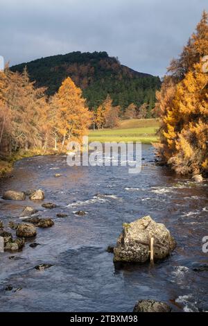 Il fiume Dee in autunno. Aberdeenshire, Scozia Foto Stock