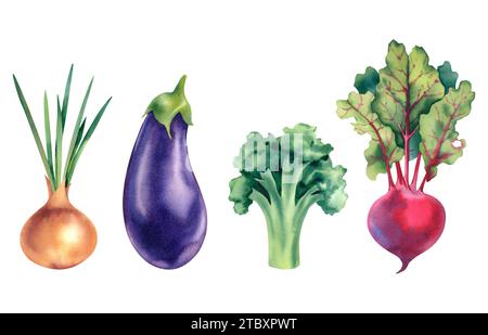 Acquerello di verdure, cipolle, barbabietole, melanzane e broccoli. L'illustrazione è disegnata a mano. Harvest, Halloween. Per designer, clipart, stampa di adesivi Foto Stock