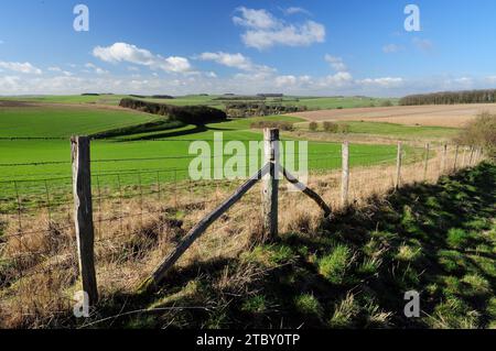 Wiltshire Downland sopra Berwick St James, con strip linchets sul lato sinistro della collina. Foto Stock