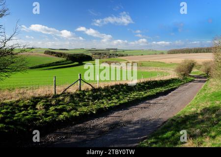 Una strada secondaria con gesso sul Wiltshire scende sopra Berwick St James, guardando verso strip Lynchets sul lato sinistro della collina. Foto Stock