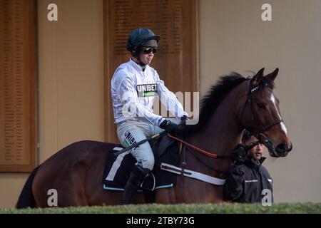 Ascot, Regno Unito. 25 novembre 2023. Il Tradecraft di cavalli guidato dal fantino Nico de Boinville si dirige verso l'autodromo per gareggiare nella Nirvana Spa Open National Hunt Flat Race all'ippodromo di Ascot durante la riunione del sabato di novembre. Allenatore Nicky Henderson, Lambourn. Credito: Maureen McLean/Alamy Foto Stock