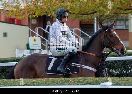 Ascot, Regno Unito. 25 novembre 2023. Il Tradecraft di cavalli guidato dal fantino Nico de Boinville si dirige verso l'autodromo per gareggiare nella Nirvana Spa Open National Hunt Flat Race all'ippodromo di Ascot durante la riunione del sabato di novembre. Allenatore Nicky Henderson, Lambourn. Credito: Maureen McLean/Alamy Foto Stock