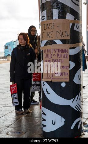 Bournemouth, Dorset, Regno Unito. 9 dicembre 2023. I sostenitori della libertà per la Palestina si mescolano con ora che saliamo, giorno d'azione, a Bournemouth. Crediti: Carolyn Jenkins/Alamy Live News Foto Stock