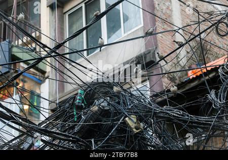 Kathmandu, Bagmati, Nepal. 9 dicembre 2023. I passeri riposano sulla confusione dei fili a Kathmandu, Nepal, il 9 dicembre 2023. I passeri del giorno d'oggi sono costretti a rimanere impigliati nel caos dei fili in città, trasformandoli nel loro nido a causa dei nuovi edifici in cemento non hanno fornito loro un luogo adatto per soggiornare. Di solito le vecchie case nel centro della capitale Kathmandu avevano buchi nelle pareti esterne per gli uccelli, specialmente per passeri e piccioni, in cui vivere. Crediti: ZUMA Press, Inc./Alamy Live News Foto Stock