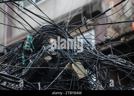 Kathmandu, Bagmati, Nepal. 9 dicembre 2023. I passeri riposano sulla confusione dei fili a Kathmandu, Nepal, il 9 dicembre 2023. I passeri del giorno d'oggi sono costretti a rimanere impigliati nel caos dei fili in città, trasformandoli nel loro nido a causa dei nuovi edifici in cemento non hanno fornito loro un luogo adatto per soggiornare. Di solito le vecchie case nel centro della capitale Kathmandu avevano buchi nelle pareti esterne per gli uccelli, specialmente per passeri e piccioni, in cui vivere. Crediti: ZUMA Press, Inc./Alamy Live News Foto Stock