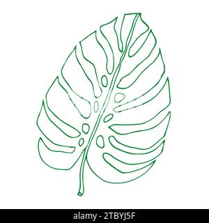 Monstera delinea foglie tropicali, elemento di design vegetale foglie di Monstera, pianta della giungla. Leaf monstera line art per colorare libri, logo o album d Illustrazione Vettoriale