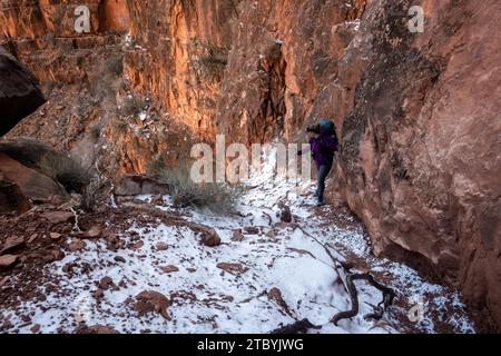 L'escursionista si ferma a metà strada su Una cascata di roccia ricoperta di neve lungo il Boucher Trail nel Grand Canyon Foto Stock