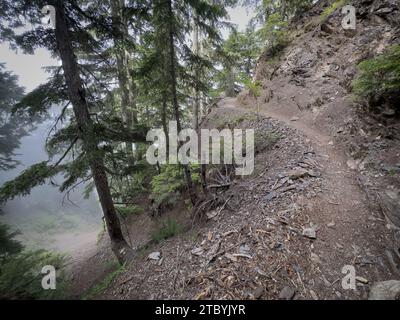 L'Hoh River Trail si snoda lungo le scogliere sciolte dell'Olympic National Park in estate Foto Stock