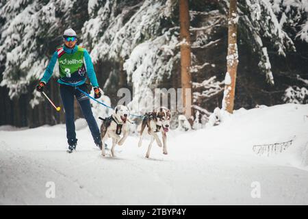 Sci con Huskies. Ottenschlag, Waldviertel, Austria Foto Stock