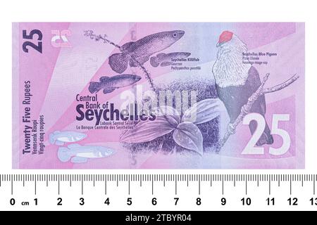 Retro di una banconota in rupia delle seychelles da 25 euro Foto Stock