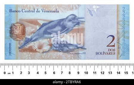Il retro della banconota venezuelana è di due bolivar con uno scaler. Isolato su bianco Foto Stock