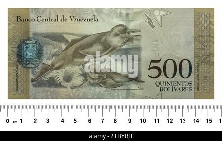 Il retro della banconota venezuelana è di due bolivar con uno scaler. Isolato su bianco Foto Stock
